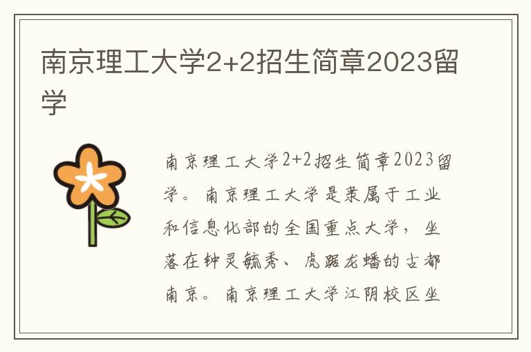 南京理工大学2+2招生简章2023留学