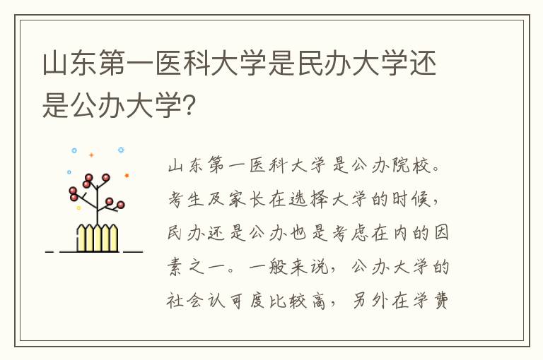 山东第一医科大学是民办大学还是公办大学？