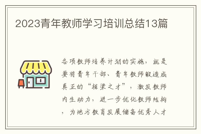 2023青年教师学习培训总结13篇