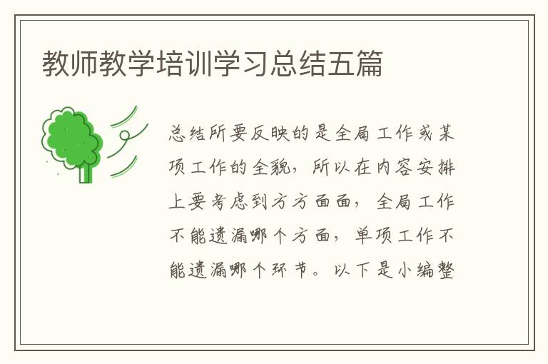 教师教学培训学习总结五篇