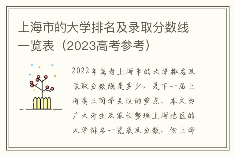 上海市的大学排名及录取分数线一览表（2023高考参考）