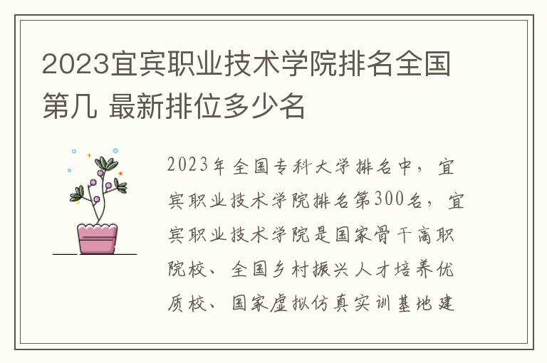 2023宜宾职业技术学院排名全国第几 最新排位多少名