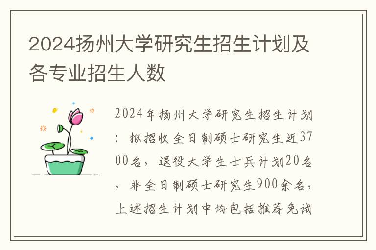 2024扬州大学研究生招生计划及各专业招生人数