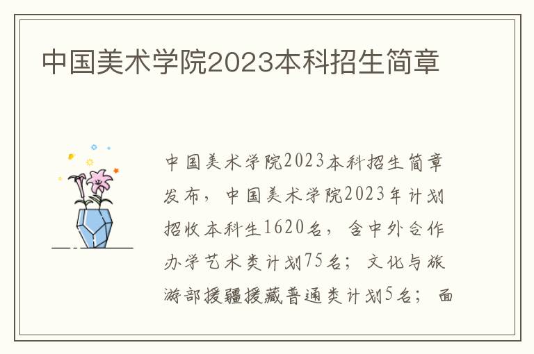 中国美术学院2023本科招生简章