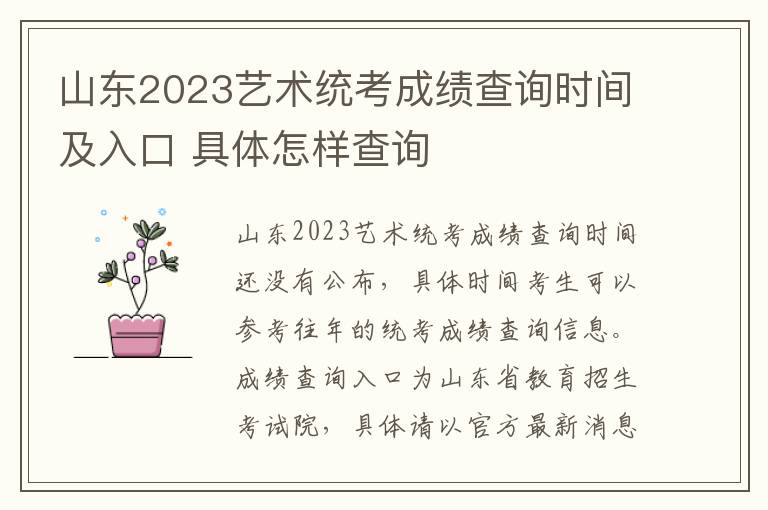 山东2023艺术统考成绩查询时间及入口 具体怎样查询