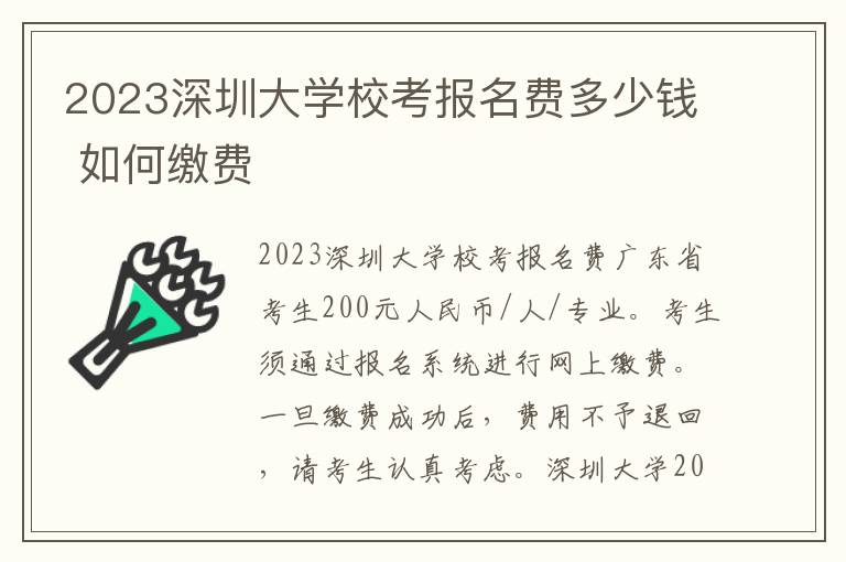 2023深圳大学校考报名费多少钱 如何缴费