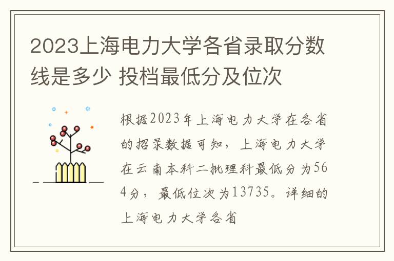 2023上海电力大学各省录取分数线是多少 投档最低分及位次