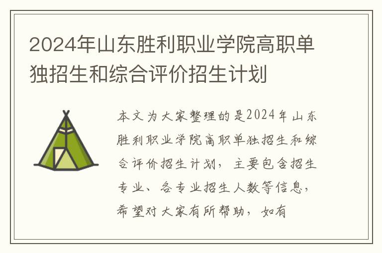 2024年山东胜利职业学院高职单独招生和综合评价招生计划