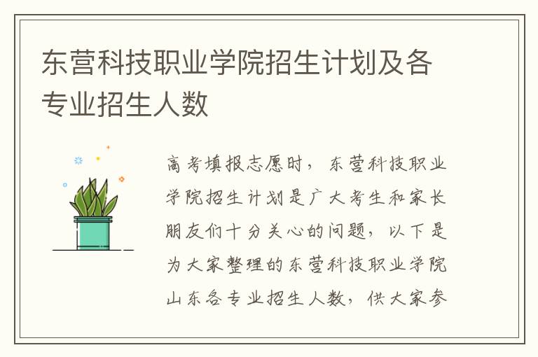 东营科技职业学院招生计划及各专业招生人数