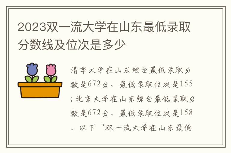 2023双一流大学在山东最低录取分数线及位次是多少