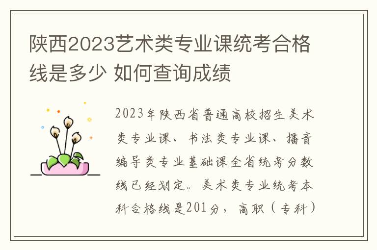 陕西2023艺术类专业课统考合格线是多少 如何查询成绩