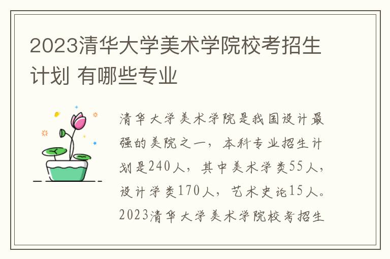 2023清华大学美术学院校考招生计划 有哪些专业