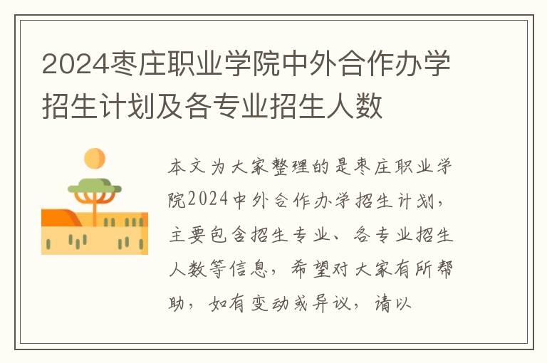 2024枣庄职业学院中外合作办学招生计划及各专业招生人数