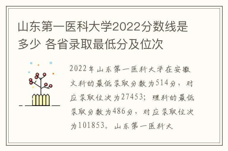 山东第一医科大学2022分数线是多少 各省录取最低分及位次