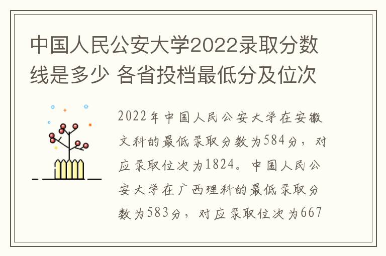 中国人民公安大学2022录取分数线是多少 各省投档最低分及位次